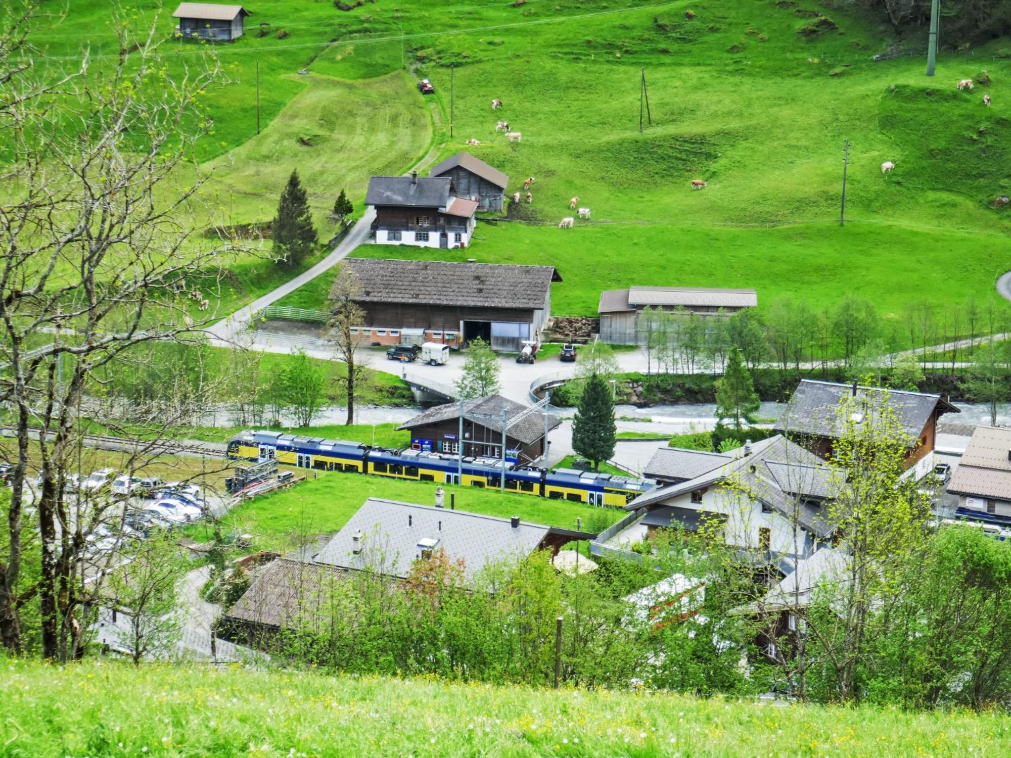 Apartment Chalet Auf Dem Vogelstein-2 By Interhome Grindelwald Luaran gambar